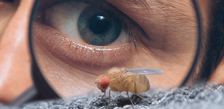 homepage banner